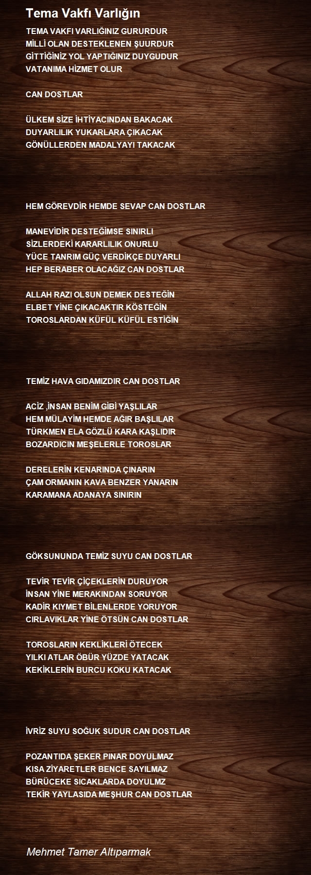 Mehmet Tamer Altıparmak