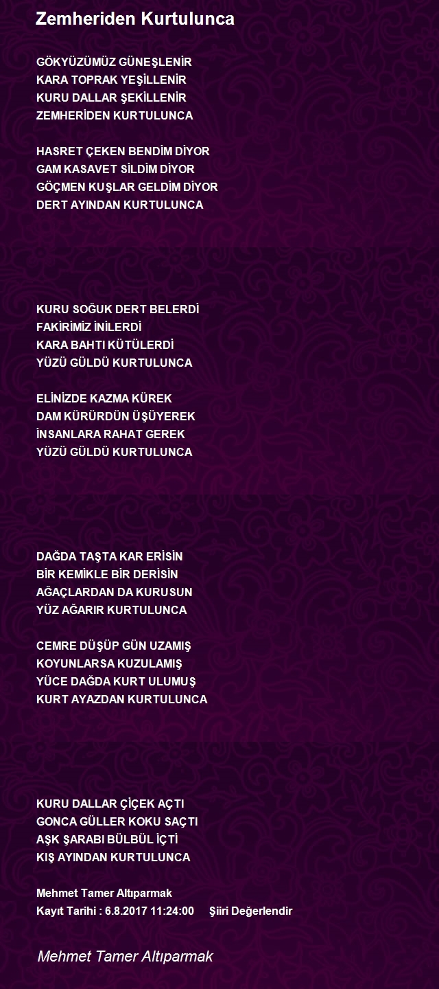 Mehmet Tamer Altıparmak
