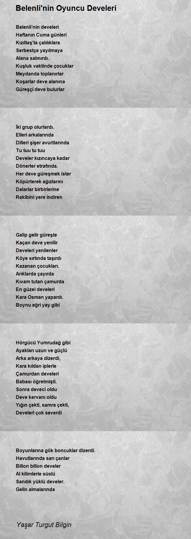 Yaşar Turgut Bilgin