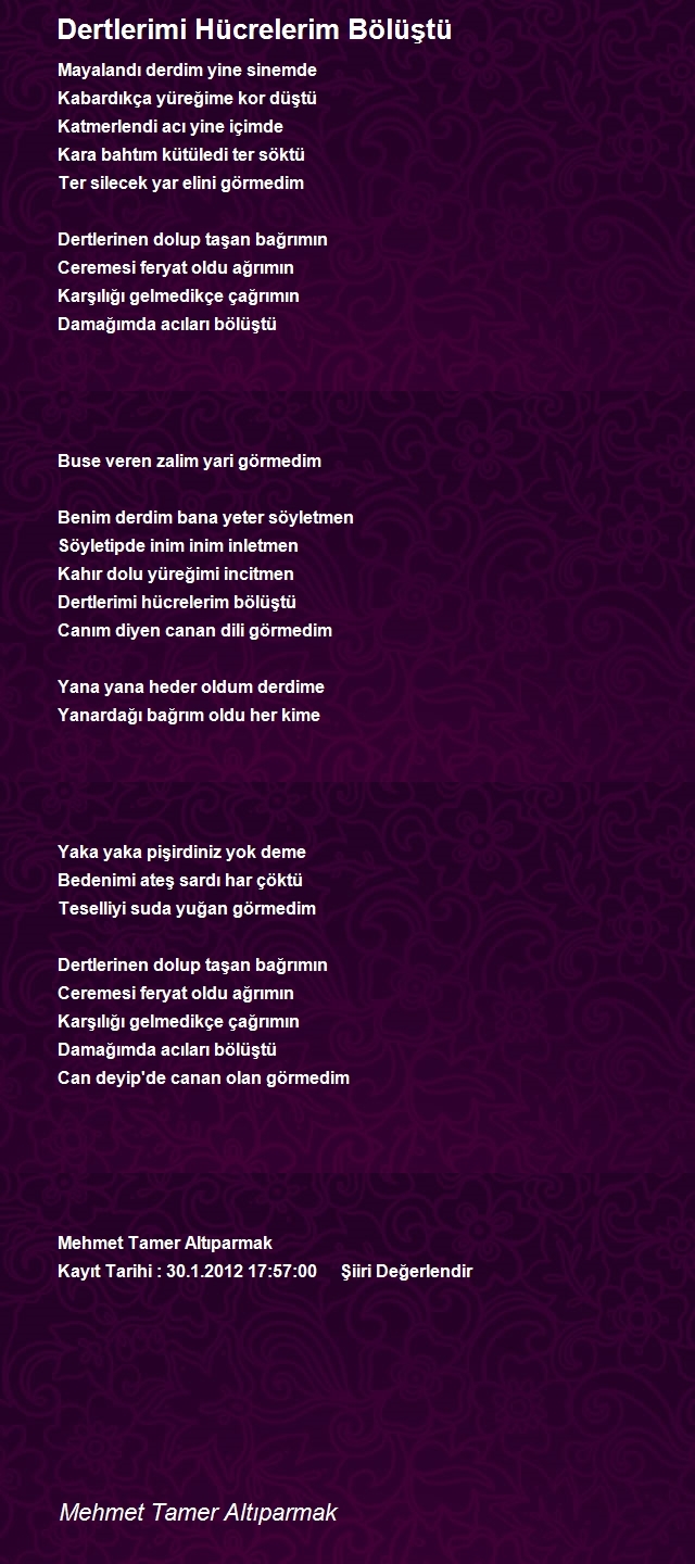 Mehmet Tamer Altıparmak