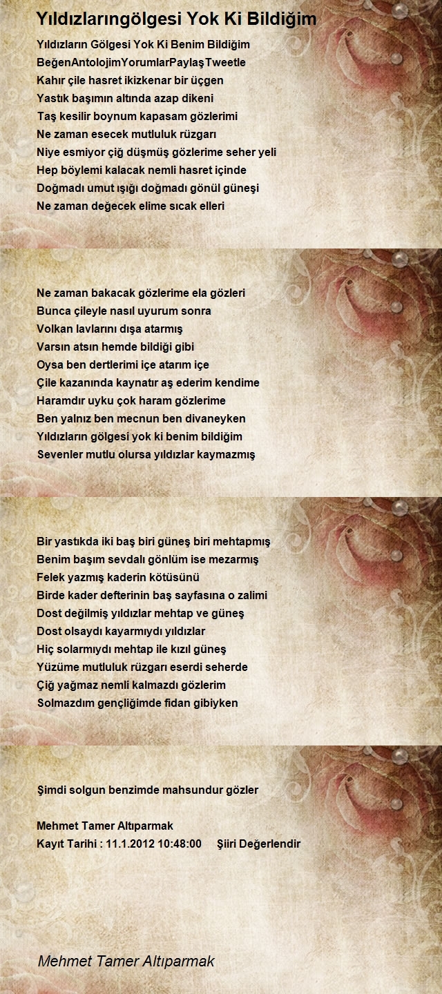 Mehmet Tamer Altıparmak