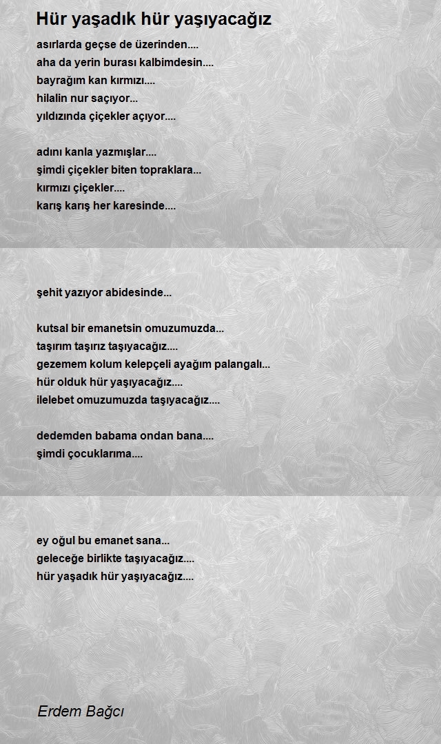 Erdem Bağcı