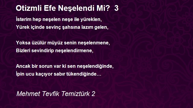 Mehmet Tevfik Temiztürk 2