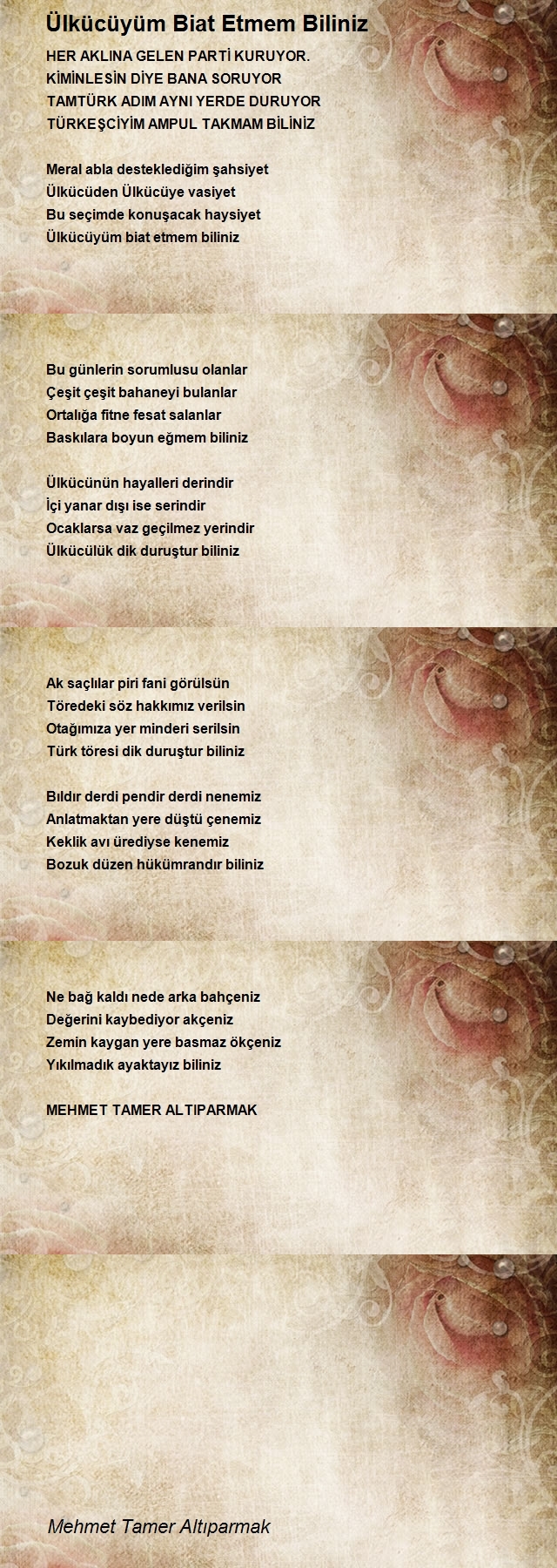 Mehmet Tamer Altıparmak