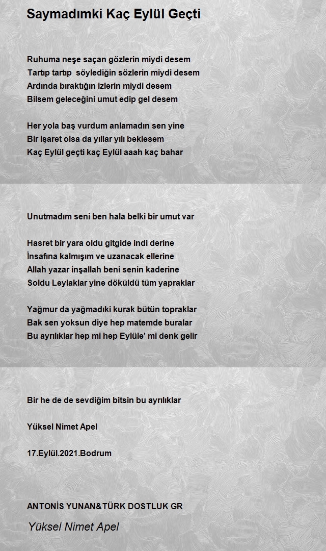 Yüksel Nimet Apel