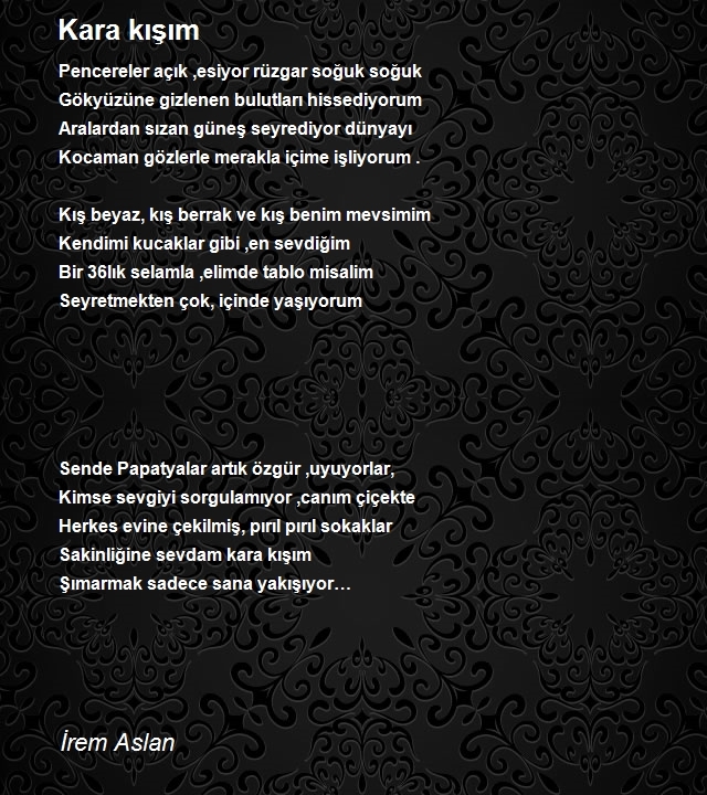 İrem Aslan