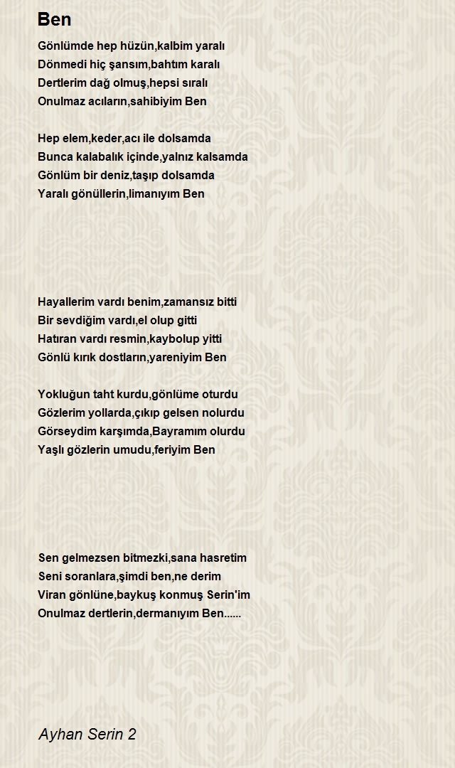 Ayhan Serin 2