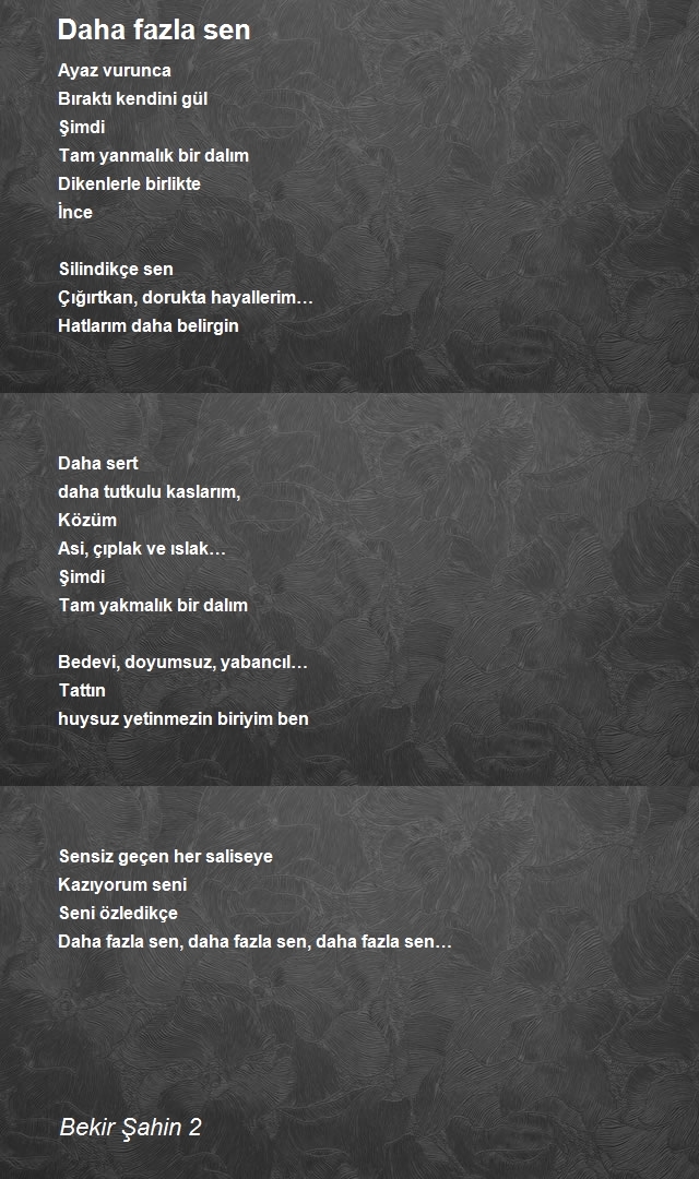 Bekir Şahin 2
