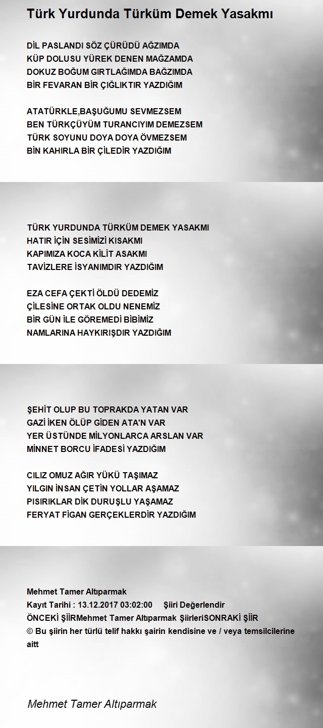 Mehmet Tamer Altıparmak
