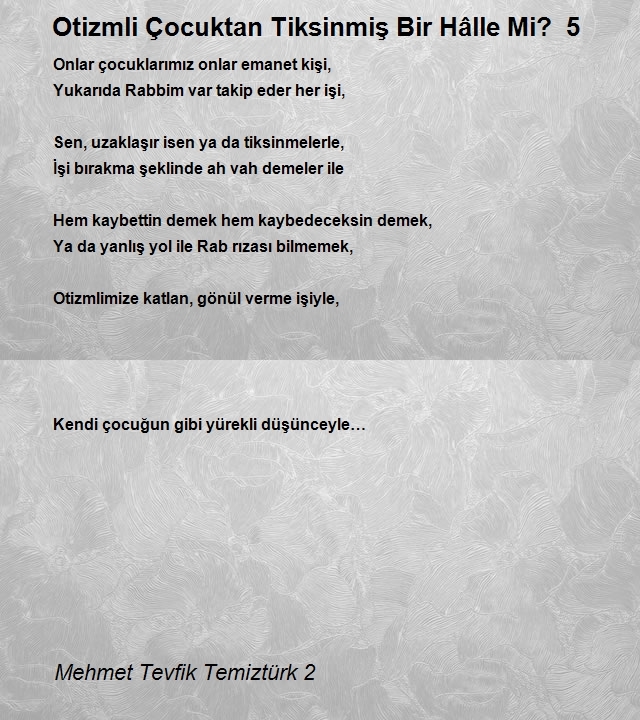 Mehmet Tevfik Temiztürk 2