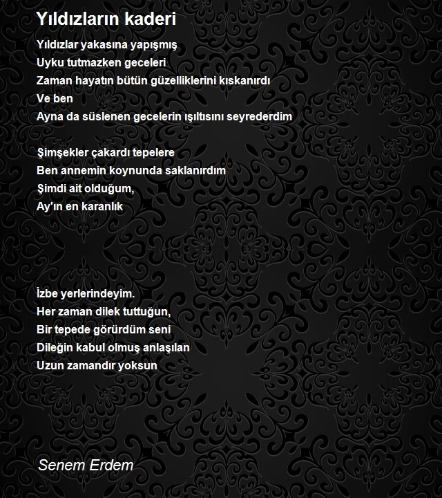 Senem Erdem