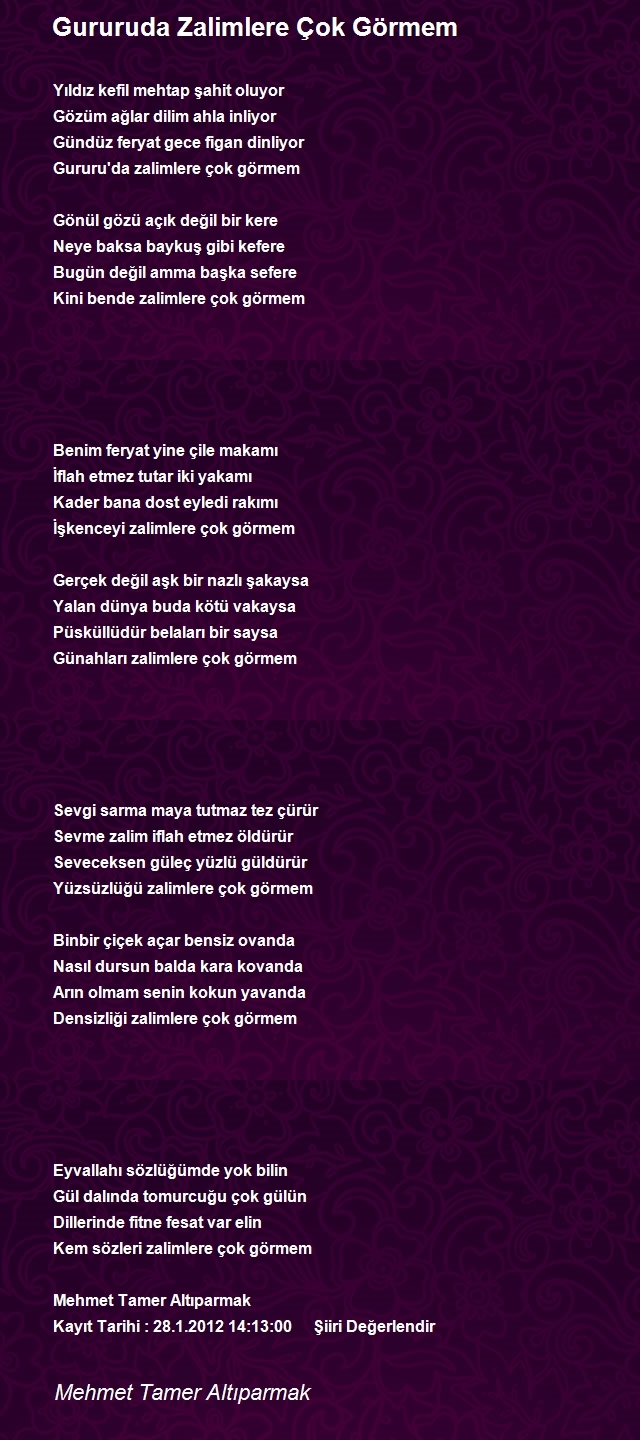 Mehmet Tamer Altıparmak