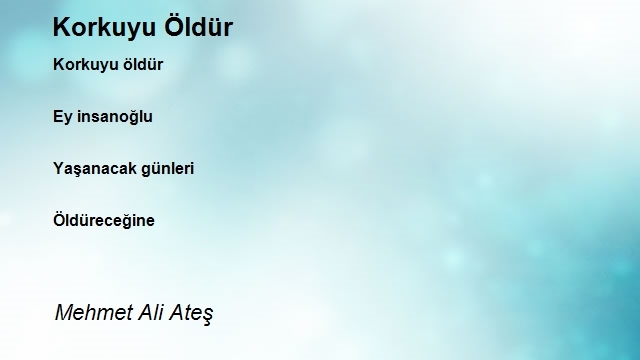 Mehmet Ali Ateş
