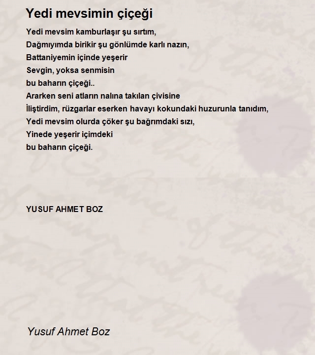 Yusuf Ahmet Boz