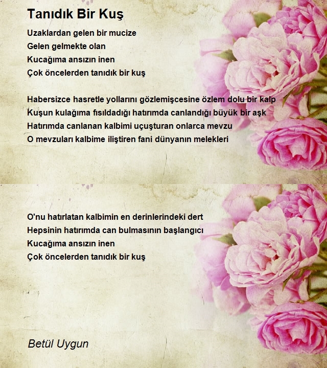 Betül Uygun