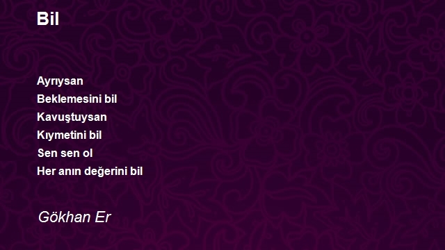 Gökhan Er