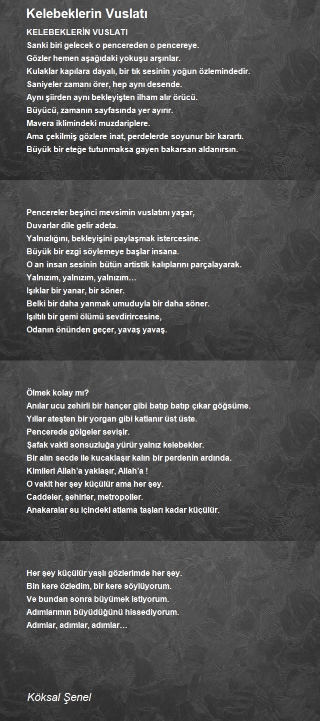 Köksal Şenel