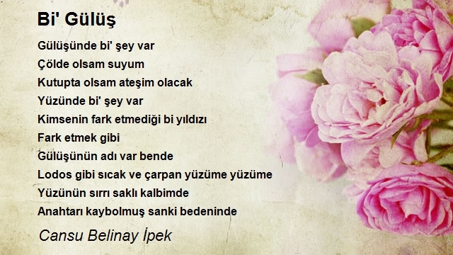 Cansu Belinay İpek