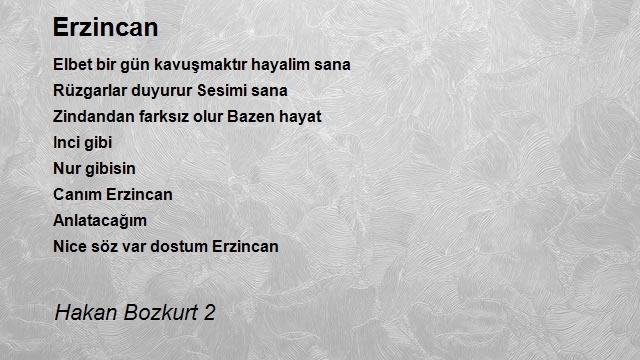 Hakan Bozkurt 2