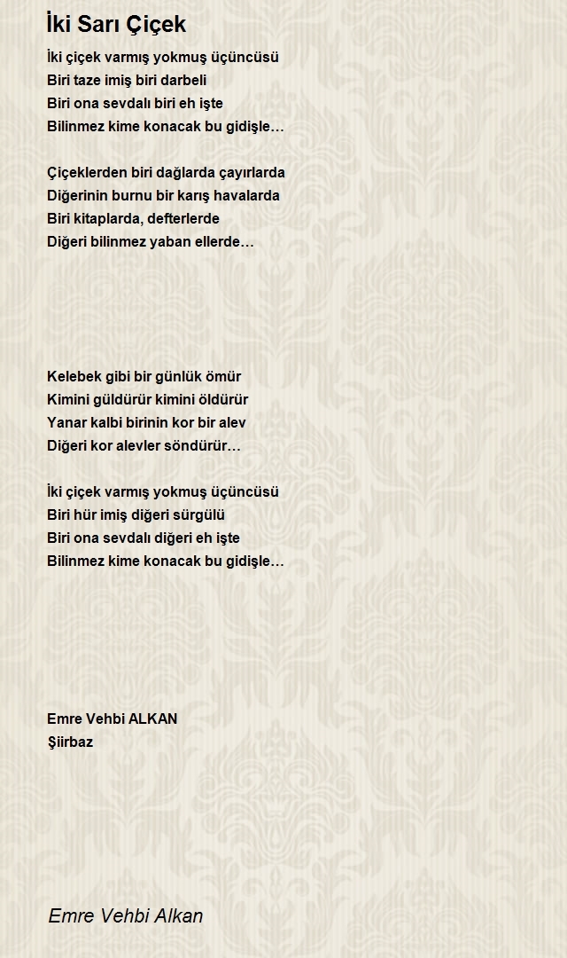 Emre Vehbi Alkan