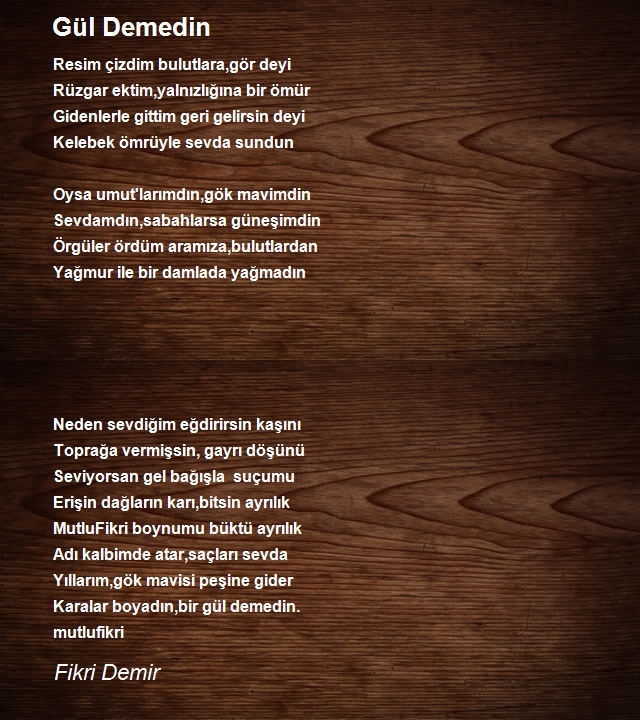 Fikri Demir