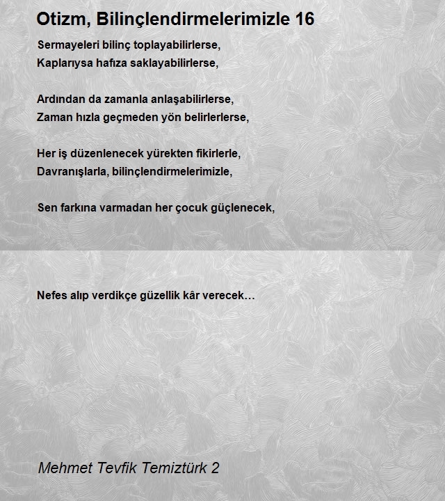 Mehmet Tevfik Temiztürk 2