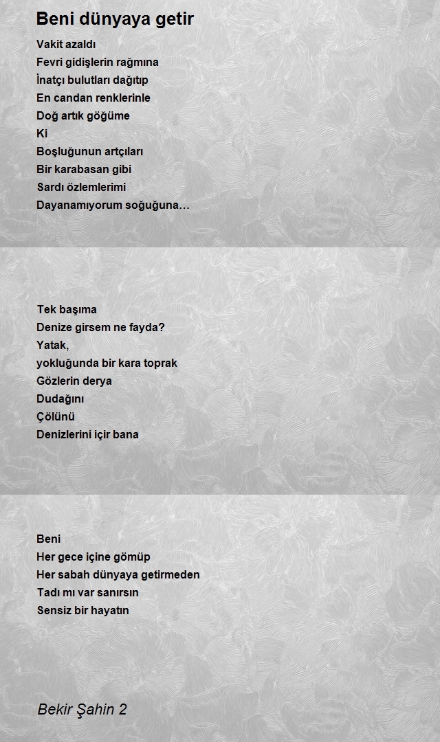 Bekir Şahin 2