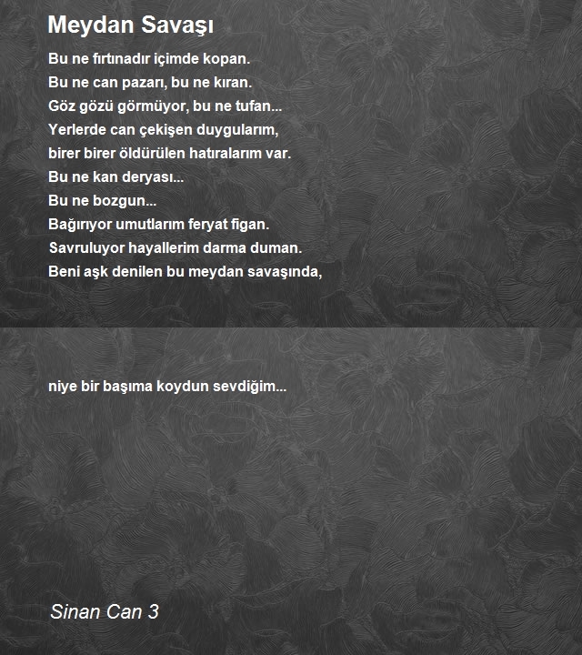 Sinan Can 3