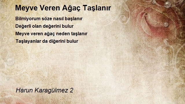 Harun Karagülmez 2
