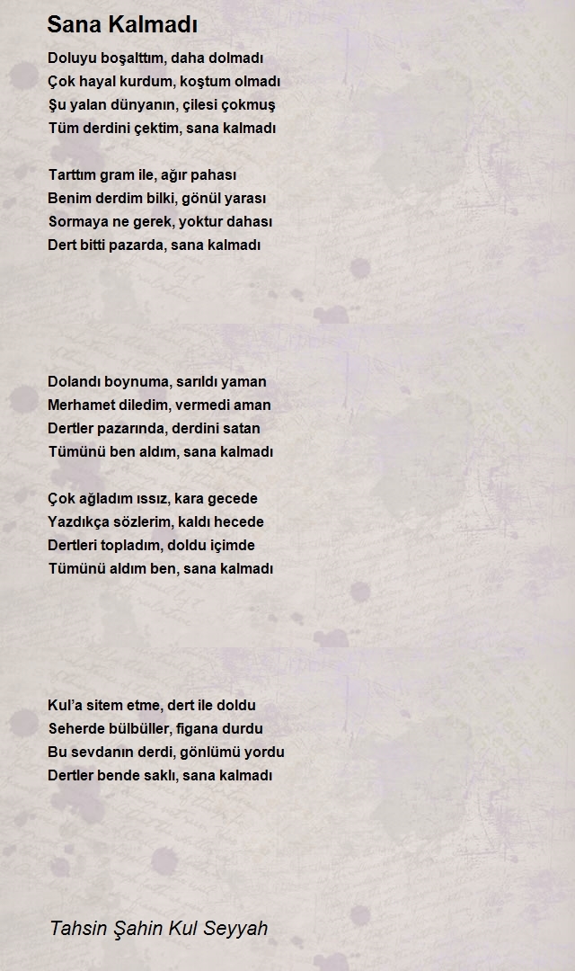 Tahsin Şahin Kul Seyyah