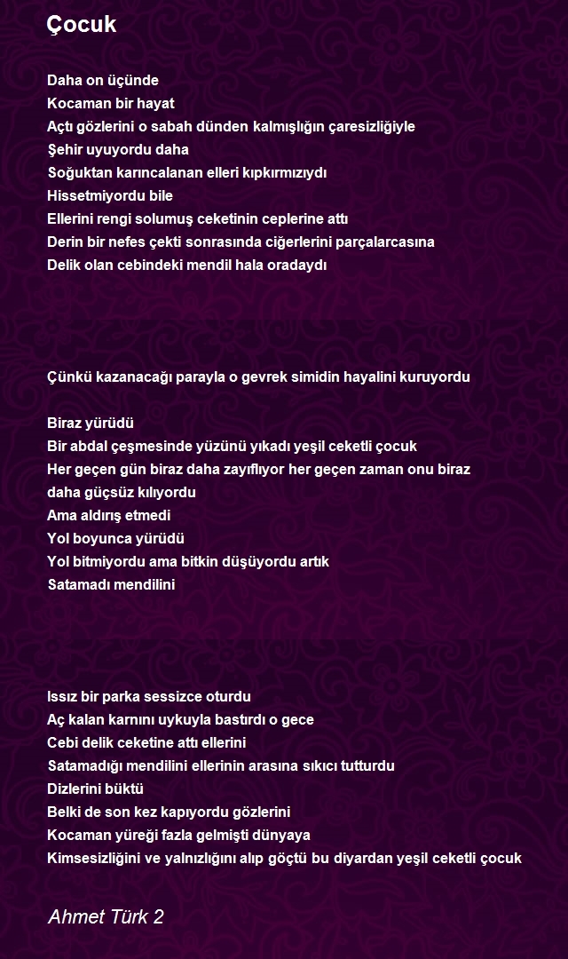 Ahmet Türk 2