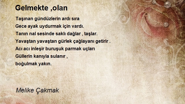 Melike Cakmak