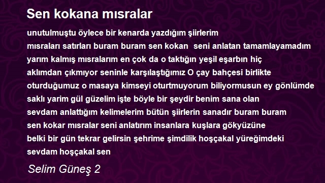 Selim Güneş 2