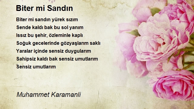 Muhammet Karamanli