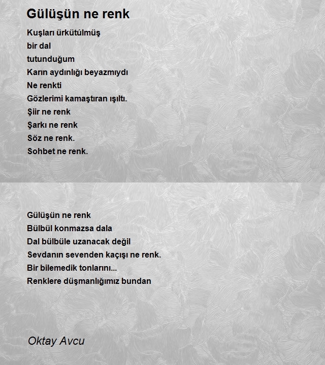 Oktay Avcu