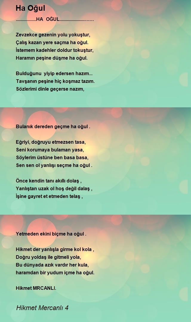 Hikmet Mercanlı 4