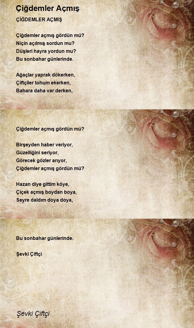 Şevki Çiftçi