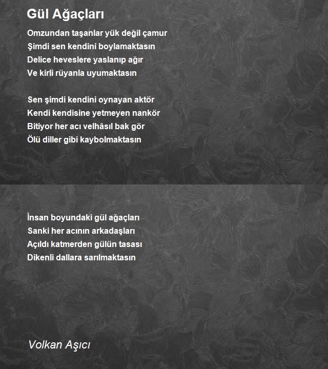 Volkan Aşıcı