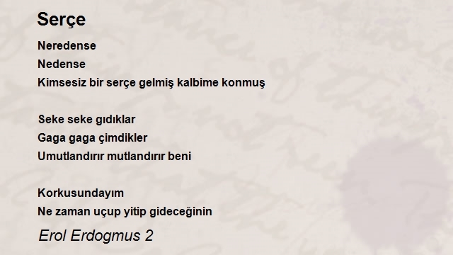 Erol Erdogmus 2