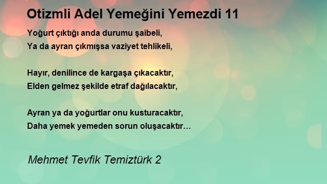 Mehmet Tevfik Temiztürk 2