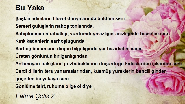 Fatma Çelik 2