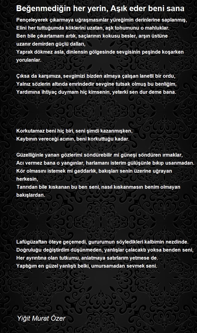 Yiğit Murat Özer