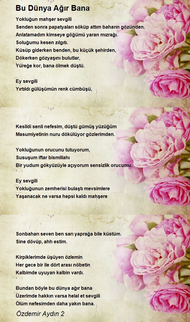 Özdemir Aydın 2