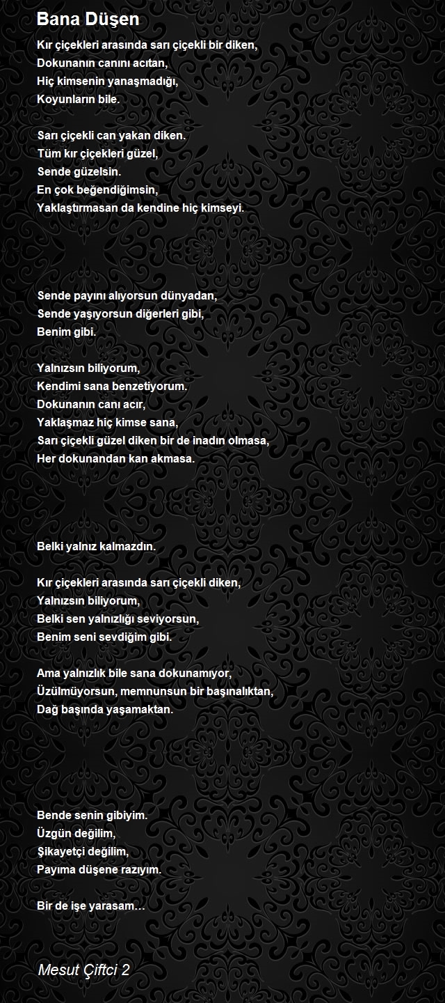 Mesut Çiftci 2