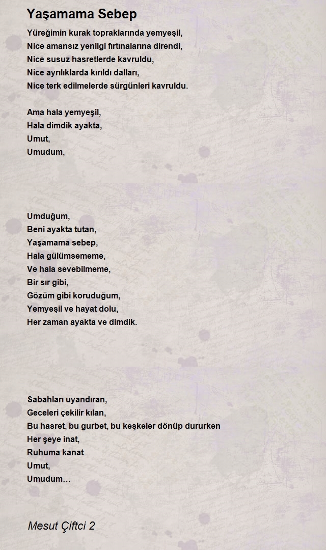 Mesut Çiftci 2