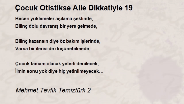 Mehmet Tevfik Temiztürk 2