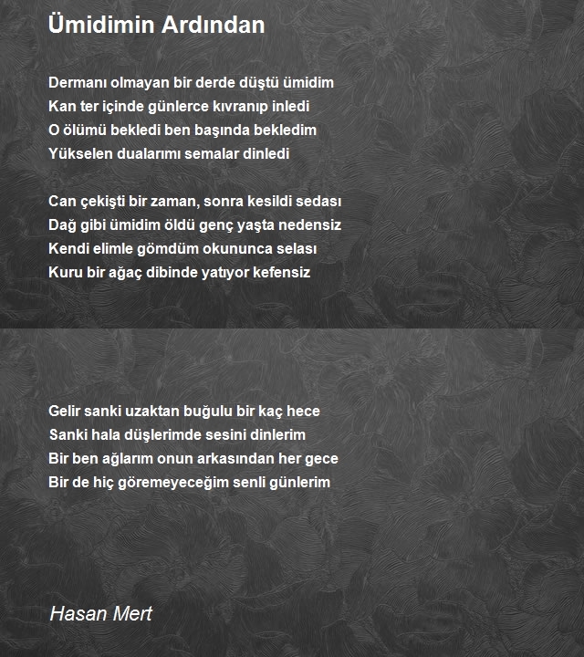 Hasan Mert