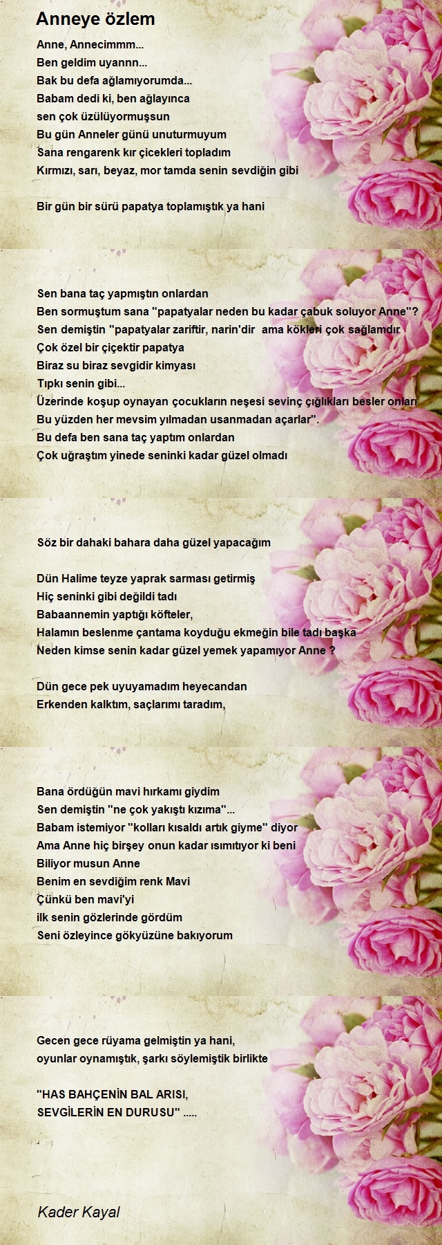 Kader Kayal