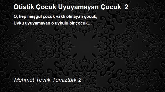 Mehmet Tevfik Temiztürk 2