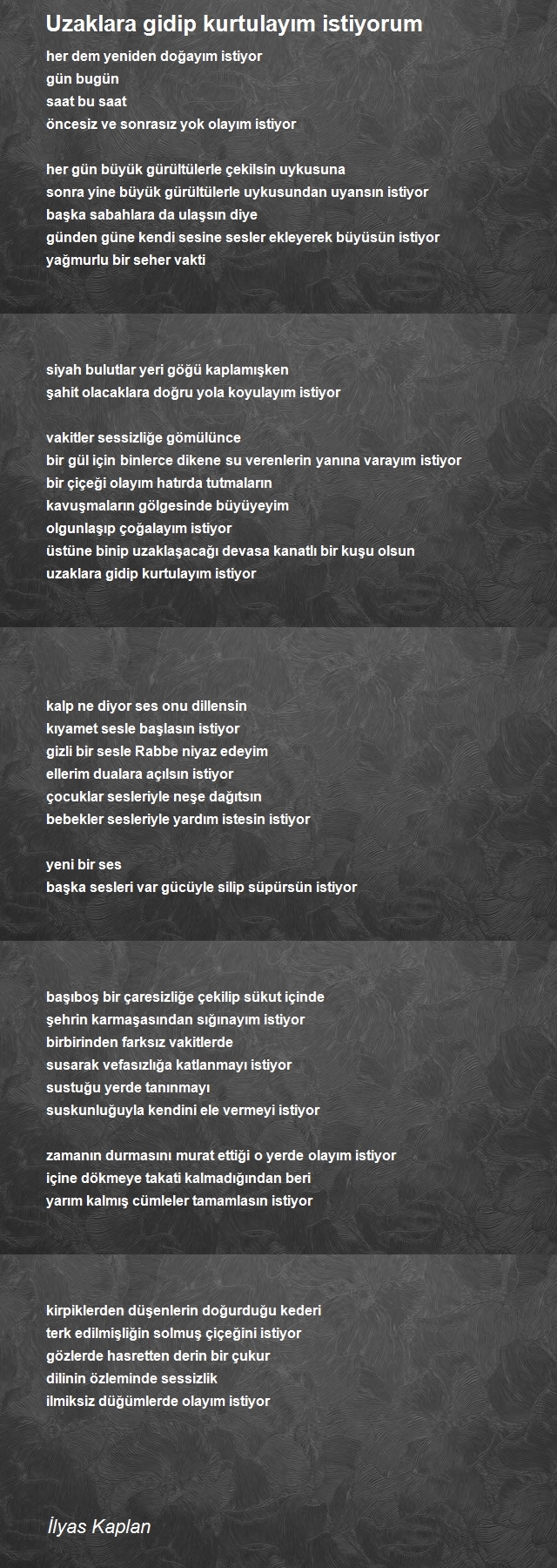İlyas Kaplan